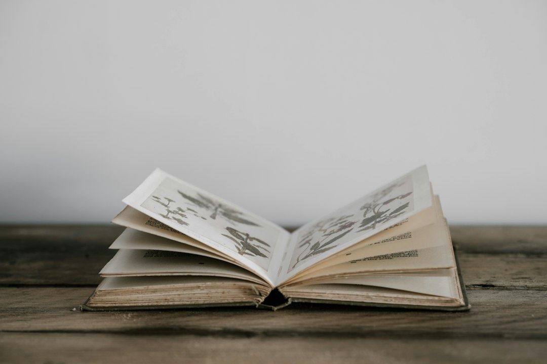 Open illustrated book resting on a weathered wooden table